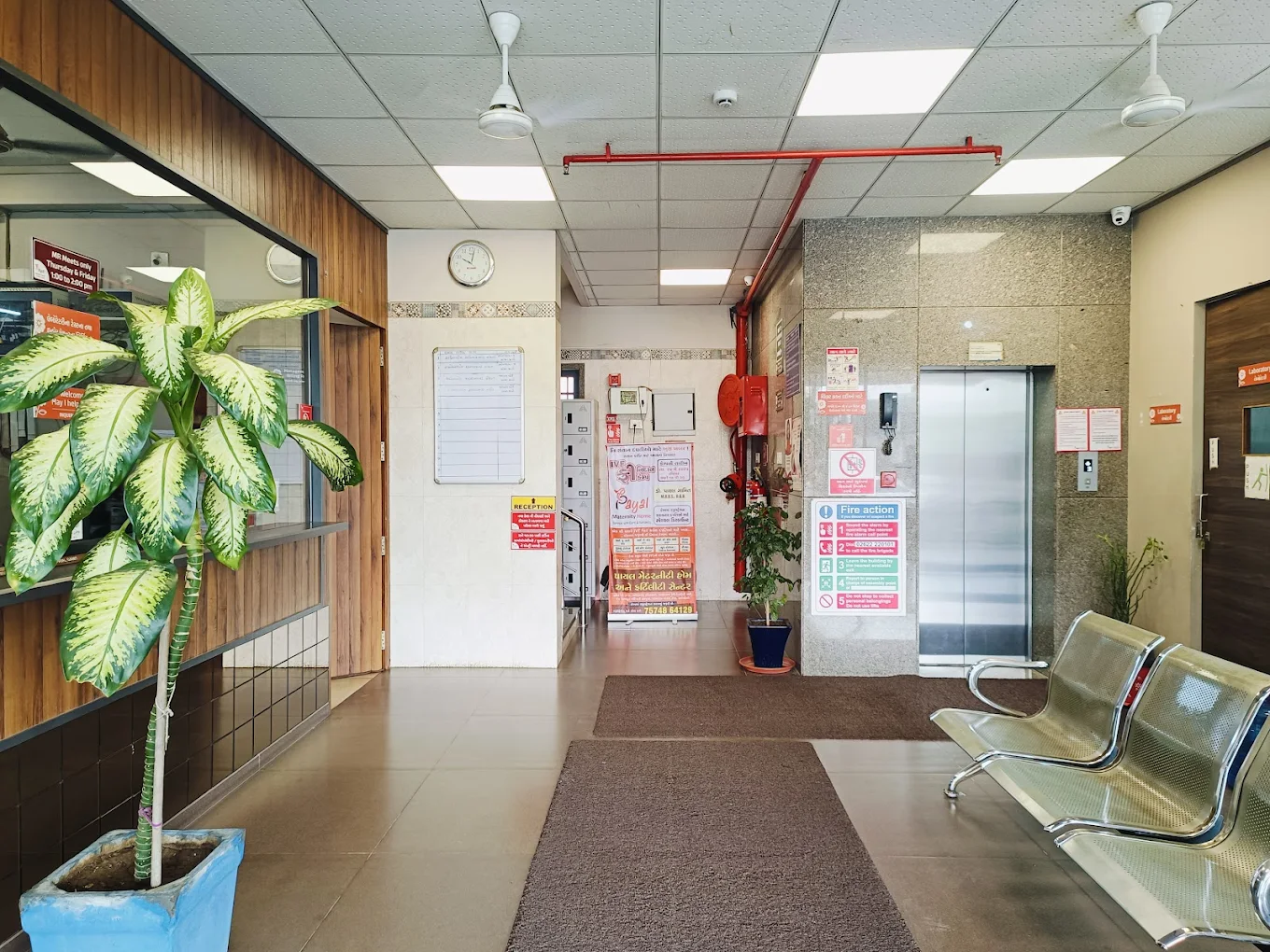 Gallery Image 6